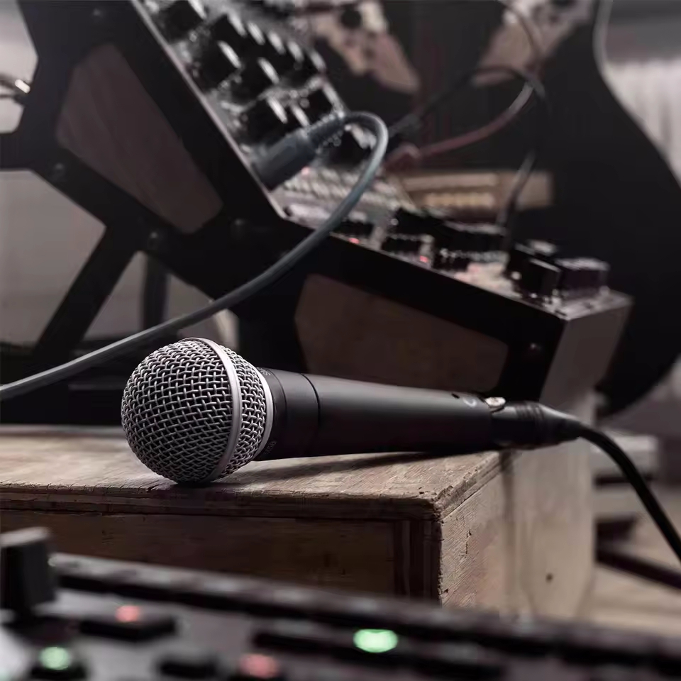 Karaoke Dynamic Microphone Pro - Shure Mic Sm58 评论和价格